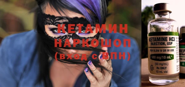 шишки Аркадак