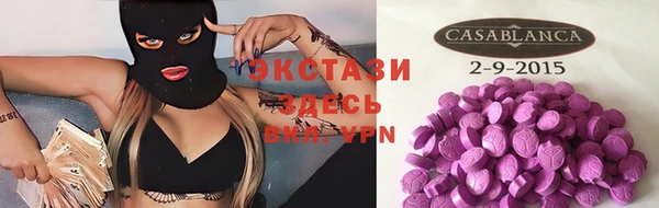шишки Аркадак