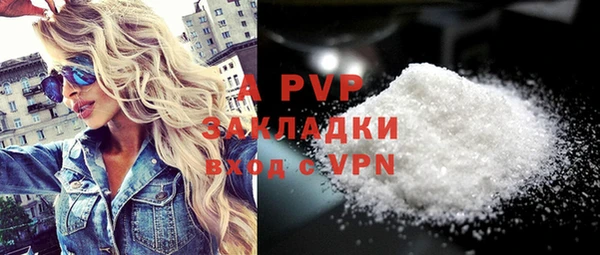 шишки Аркадак