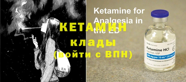 шишки Аркадак